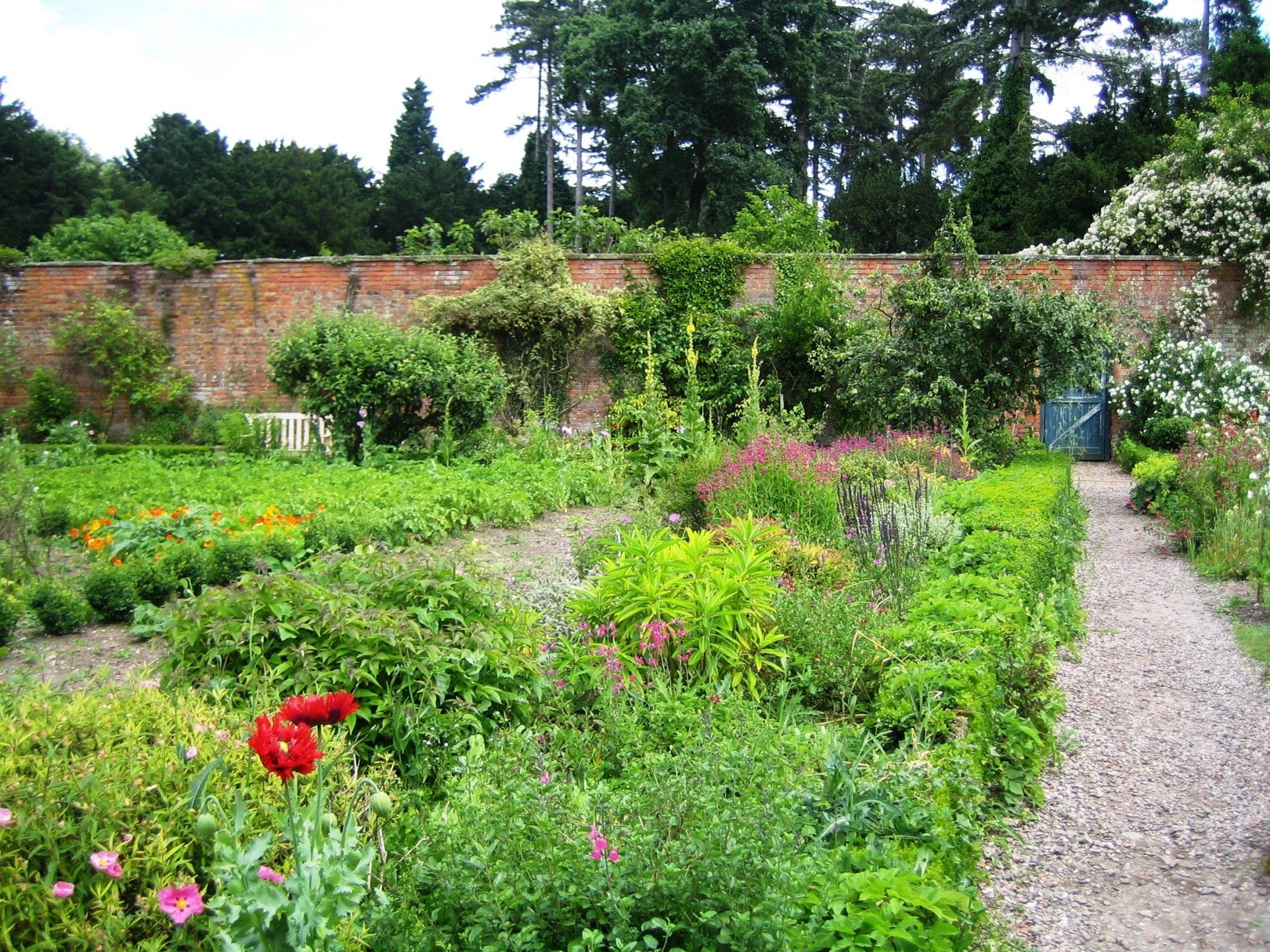 A garden filled with lots of plants and flowers