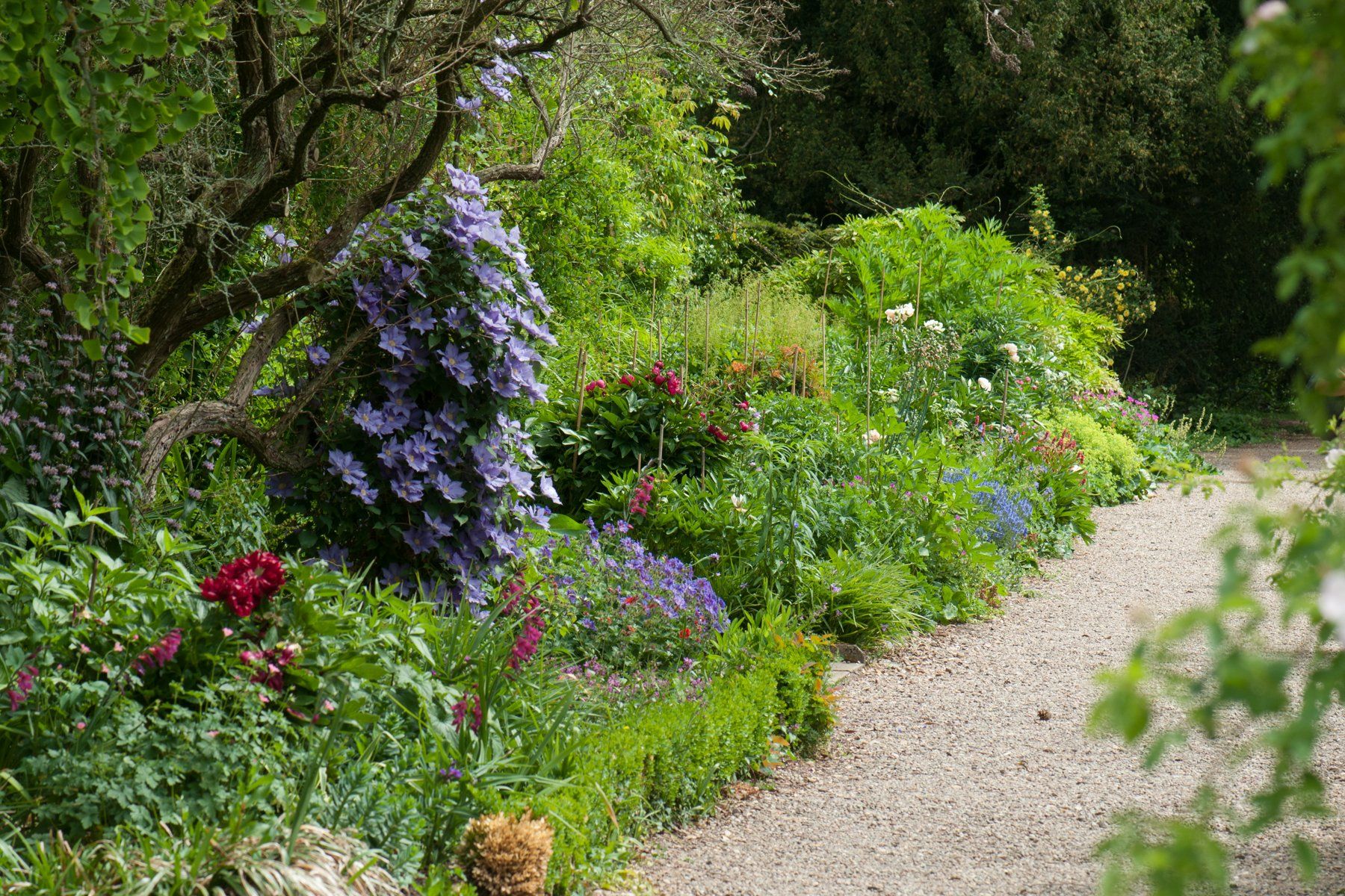 A gravel pathway leads through Spetchley Park Gardens surrounded by flowers and trees.