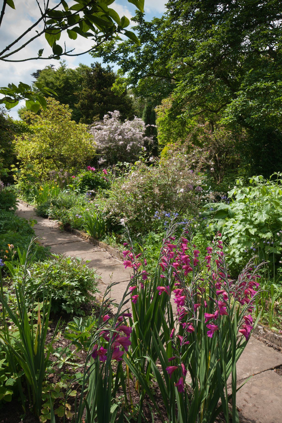 A garden filled with lots of flowers and trees