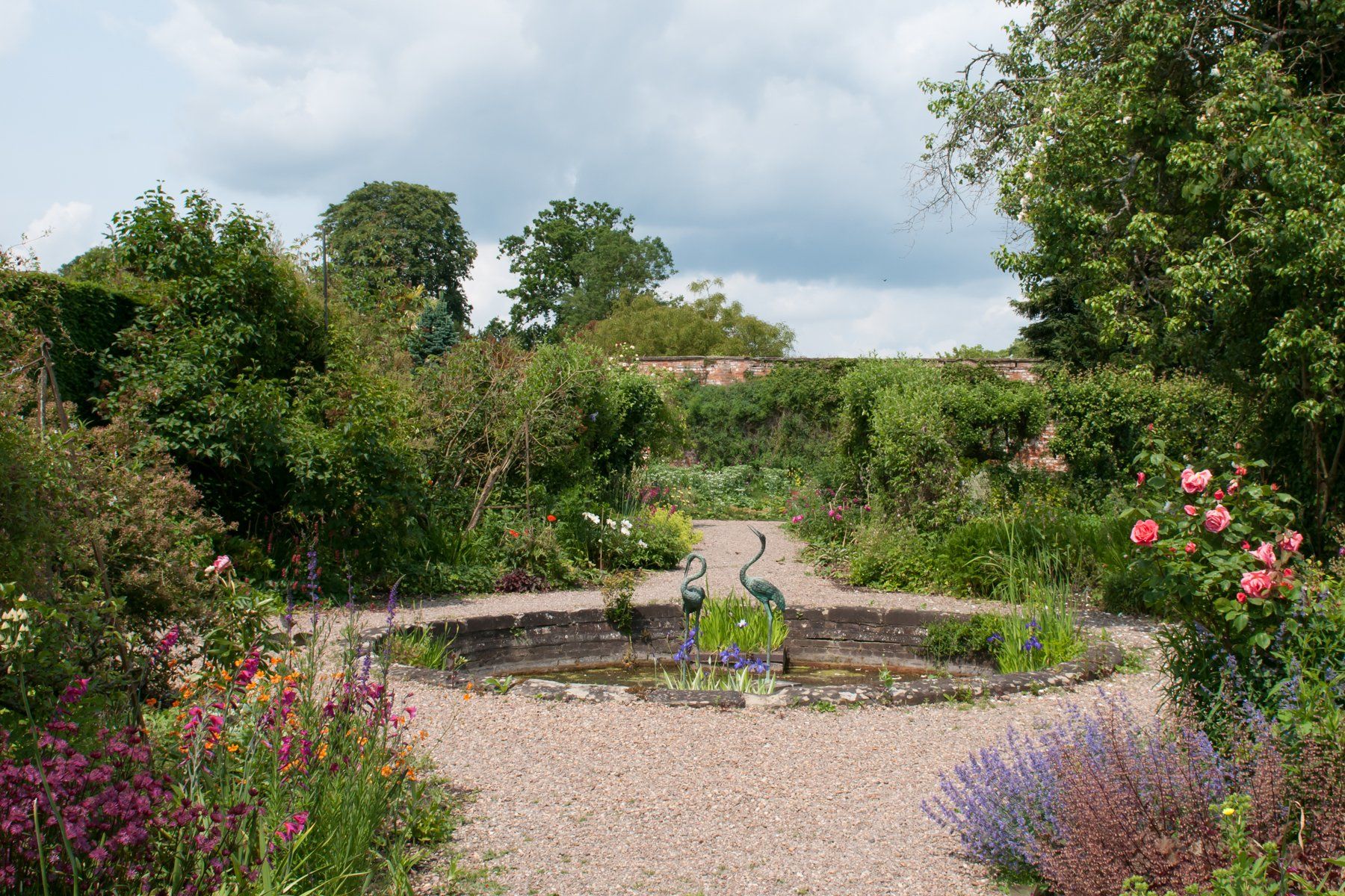 View across the pond in the middle of the garden surrounded by lusheous green trees and flower borders
