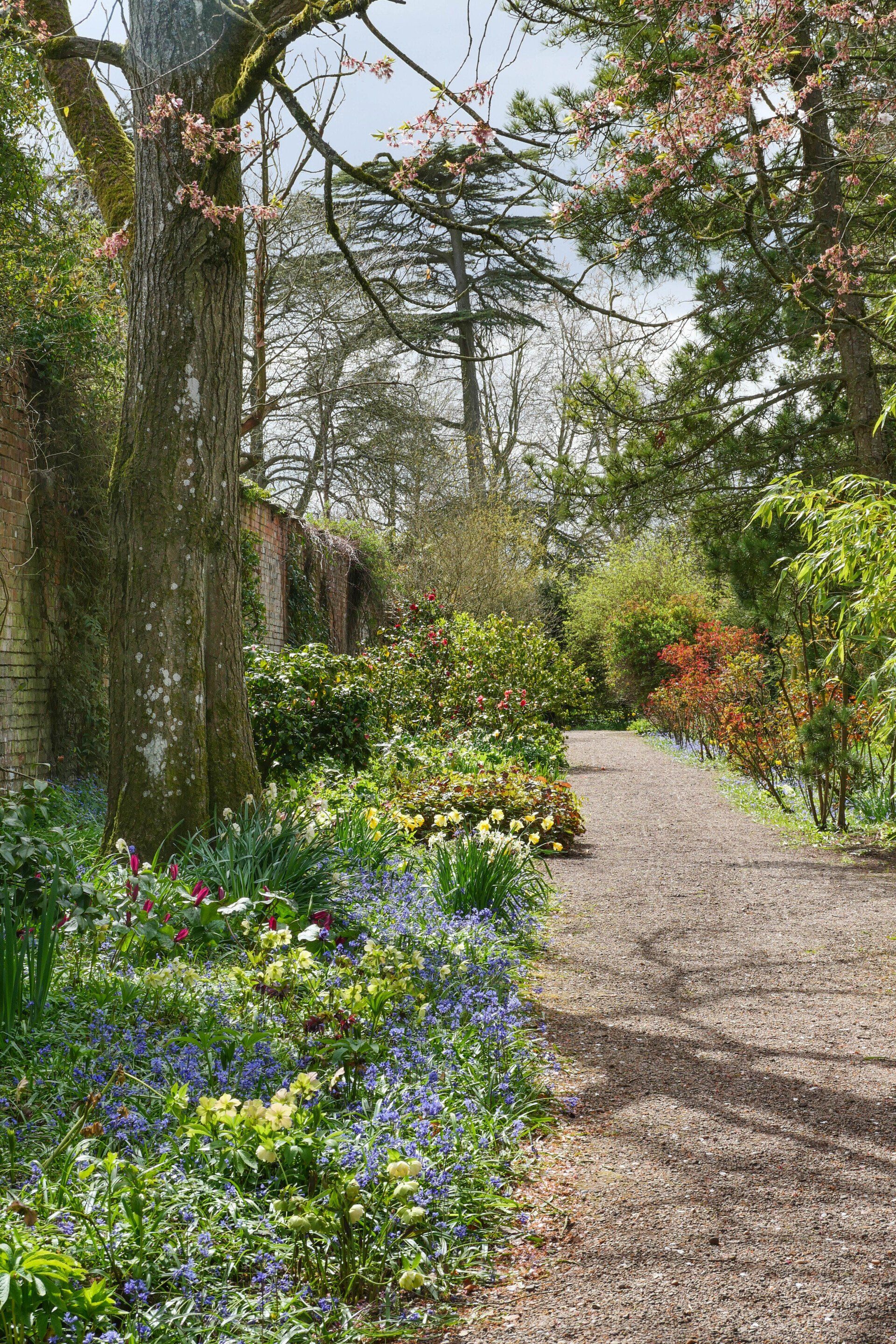 A gravel pathway winds through a border of trees and flowers in Spetchley Gardens West border