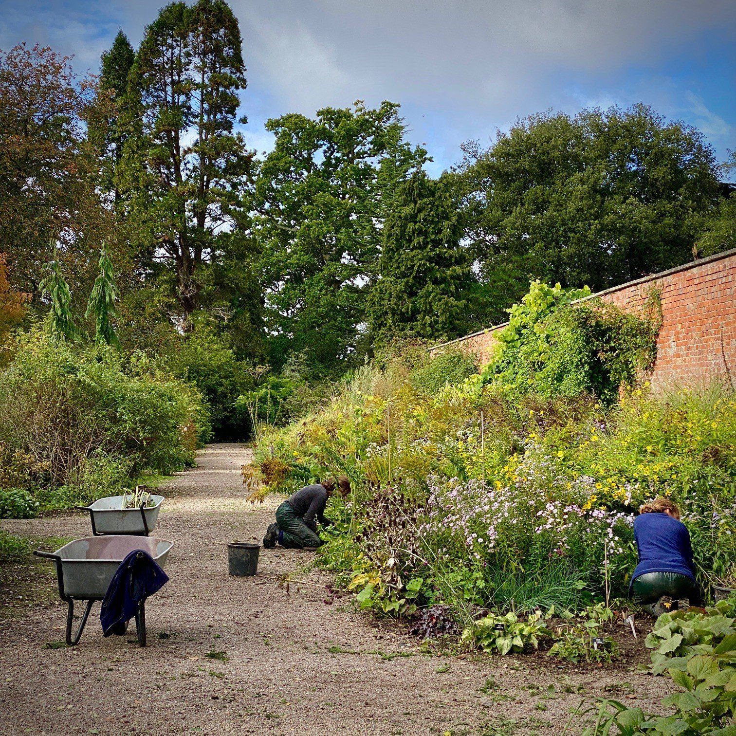 A group of people are working in a garden.