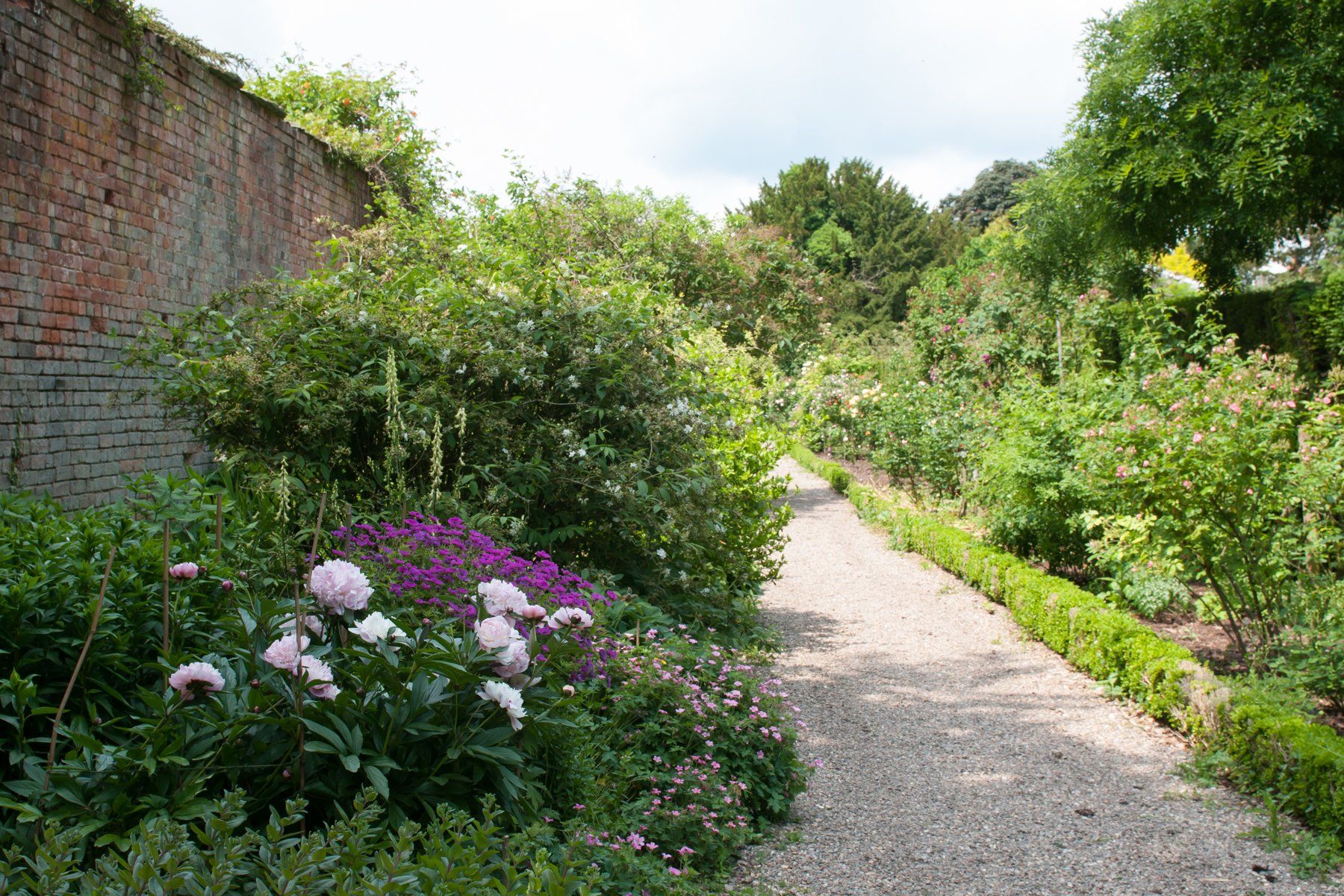 A gravel path in a garden surrounded by flowers and bushes.