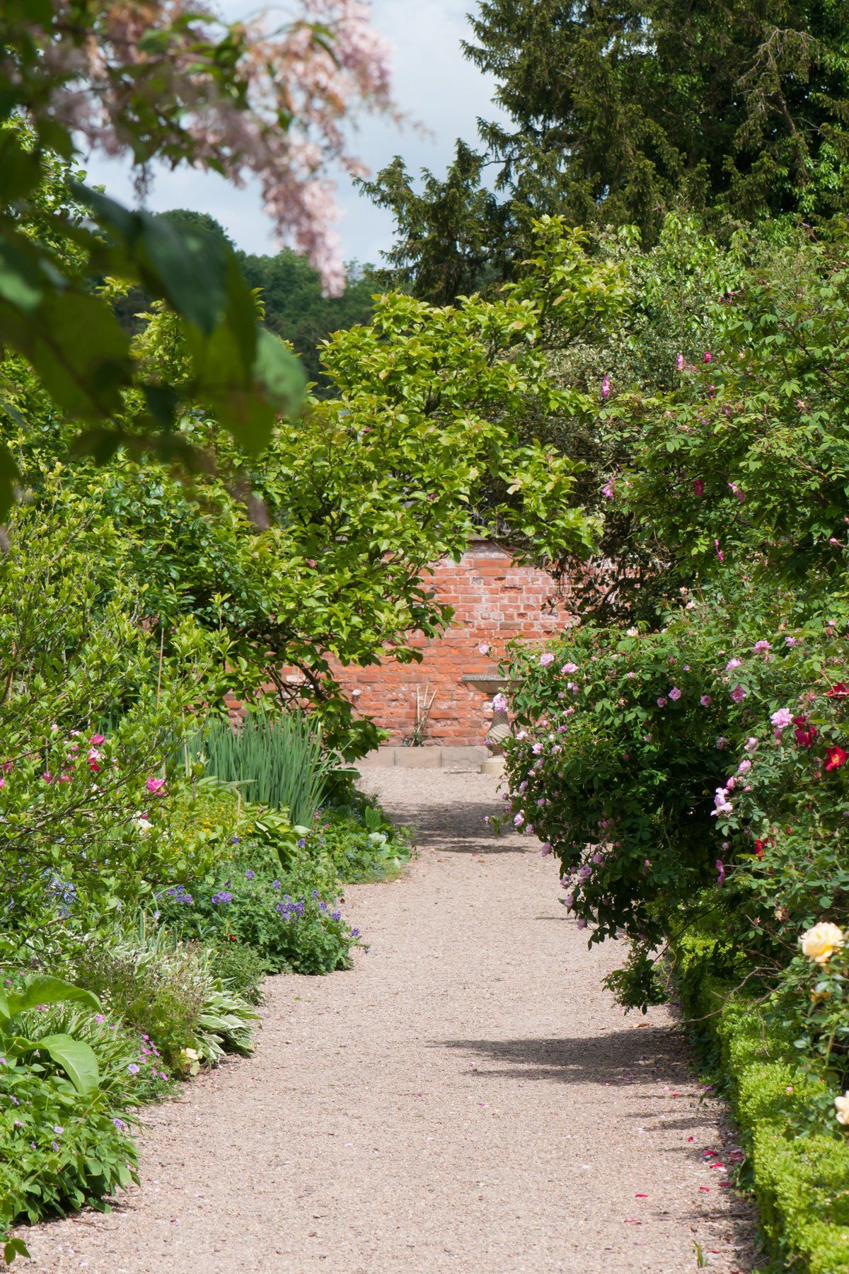 A gravel pathway runs under the trees and bushes at  Spetchley Park Garden