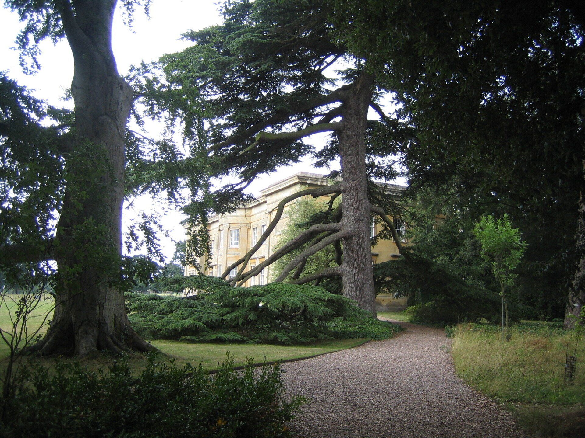A large house is behind a lush green forest