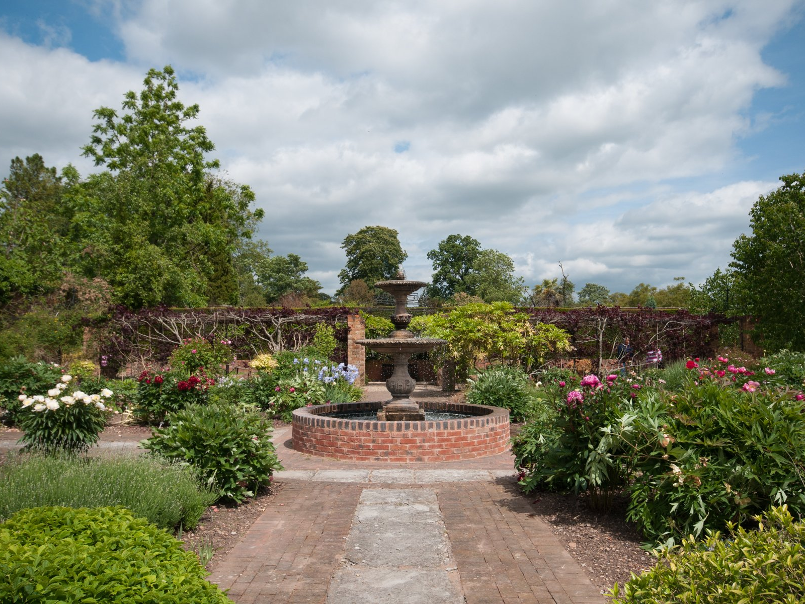 Millenium garden's traditional fountain with its gently burbling water, encircled by plants