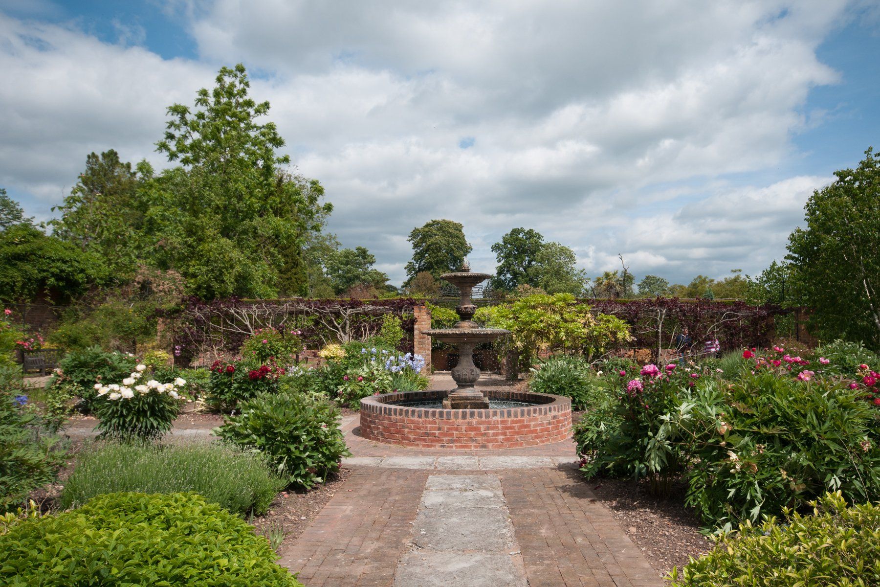 A garden with a fountain in the middle of it