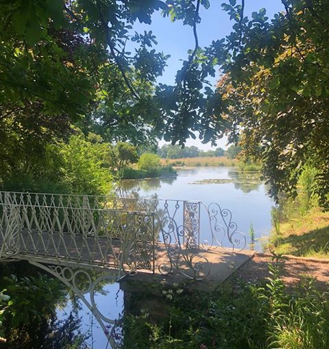 There is a bridge over a body of water surrounded by trees.