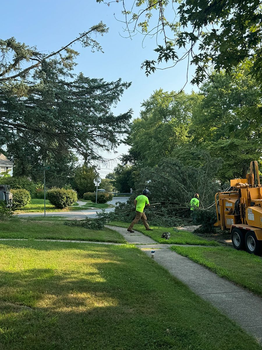 A man is walking down a sidewalk next to a tree that has been cut down.