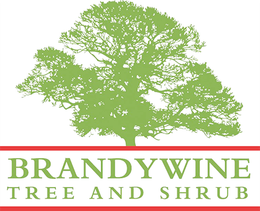 A logo for brandywine tree and shrub