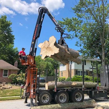 A crane is lifting a large log from a truck.