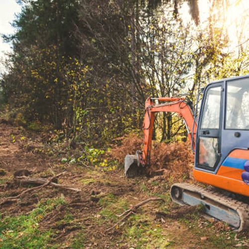 An orange and blue excavator is sitting in the middle of a forest.