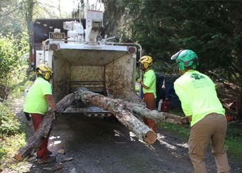 A group of men are working on a tree chipper.