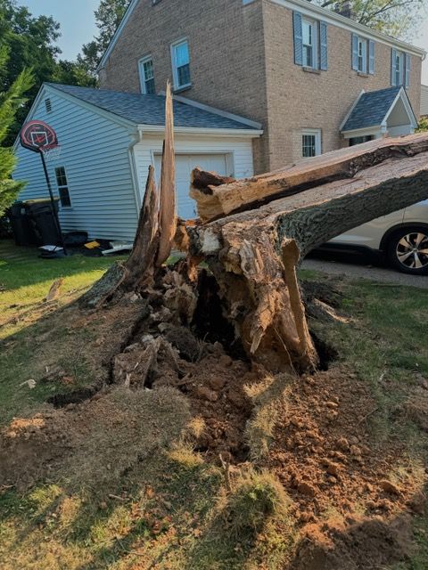 A tree stump is sitting in front of a house with a basketball hoop in the background.