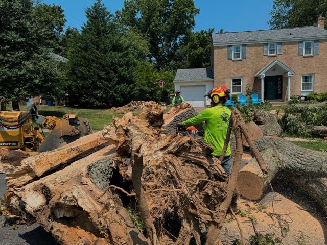 A man is standing next to a pile of logs in front of a house.