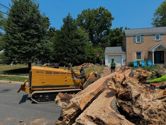 A large tree stump is being removed by a machine