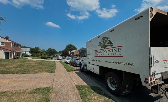 A white truck is parked on the side of the road in a residential neighborhood.