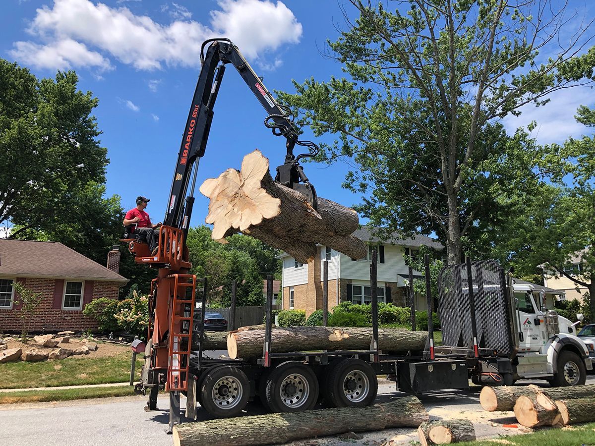 A crane is lifting a large log from a truck.