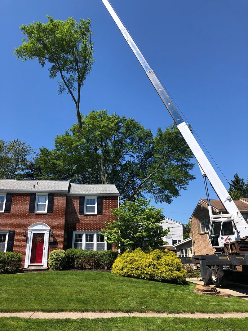 A crane is cutting down a tree in front of a brick house.