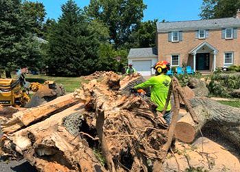 A man is standing next to a pile of logs in front of a house.