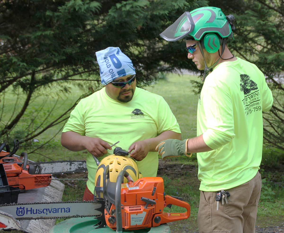 Two men are working on a husqvarna chainsaw.