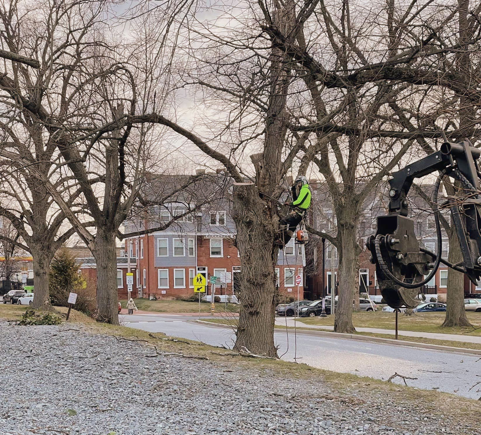 A person is cutting a tree with a machine in a park.