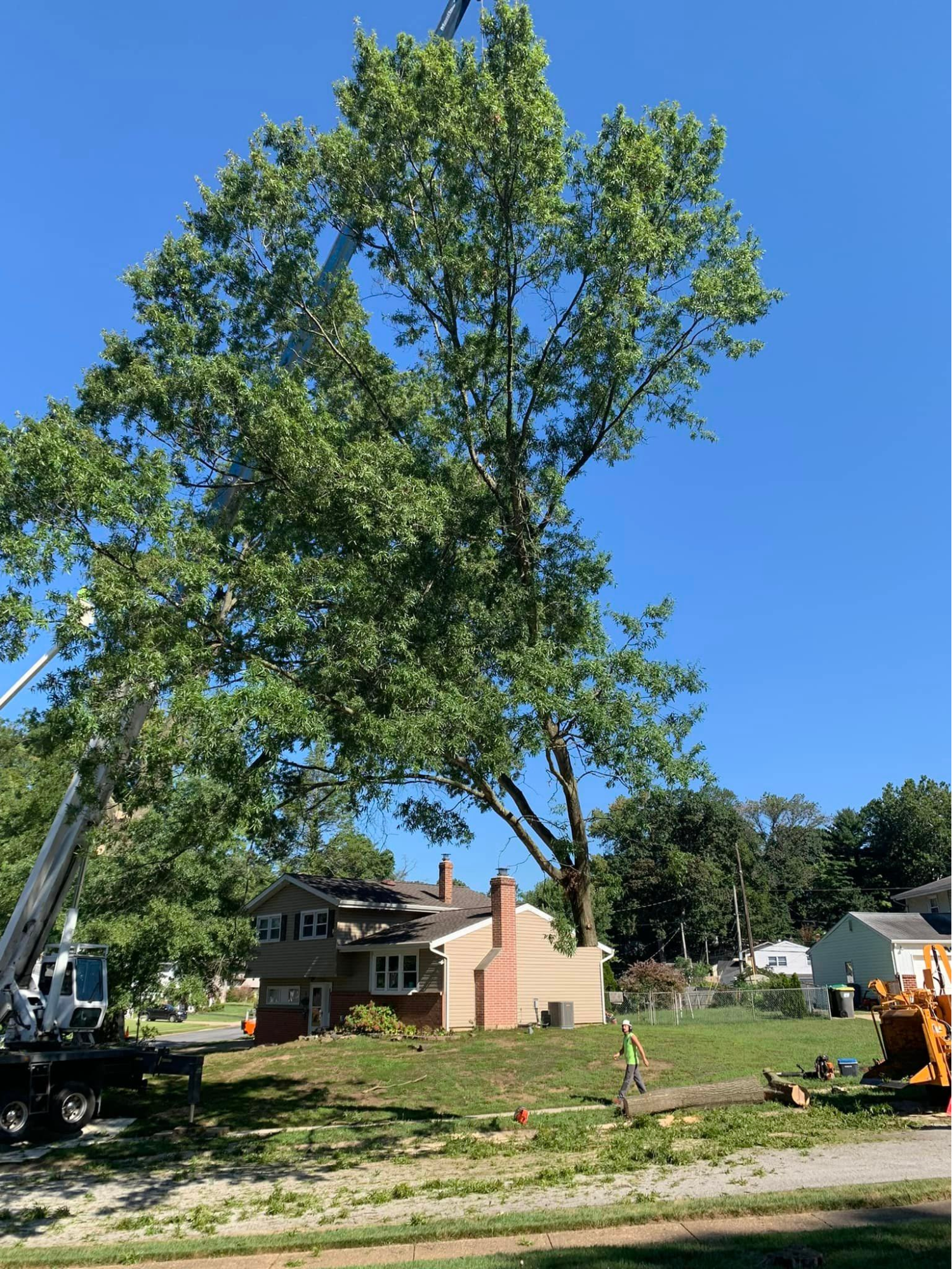 A large tree is being cut down in front of a house.