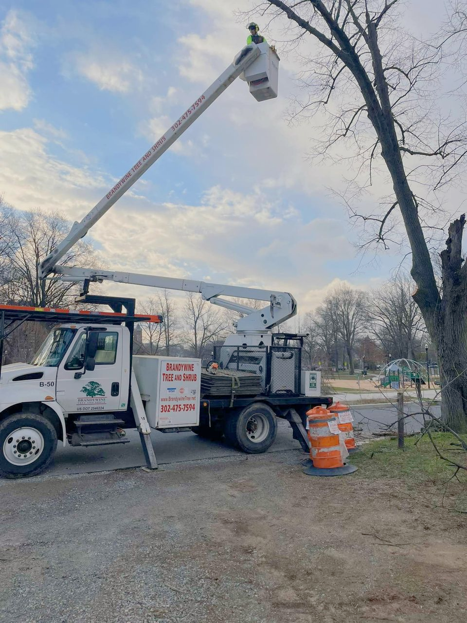 A white truck with a crane on top of it is parked next to a tree.