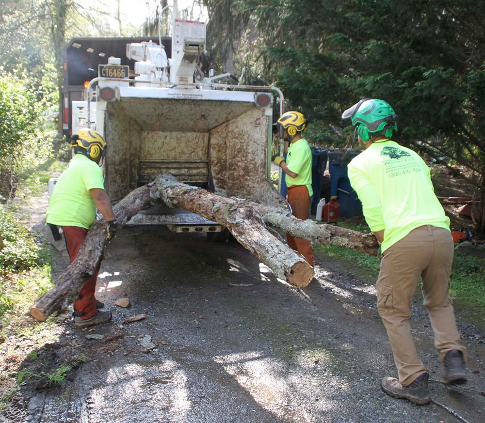 A man in a neon green shirt is carrying a large log