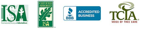 Three logos for isa accredited business and tcia