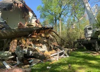 A fallen tree heavily damages a house's roof. A crane is on-site amid debris and greenery.