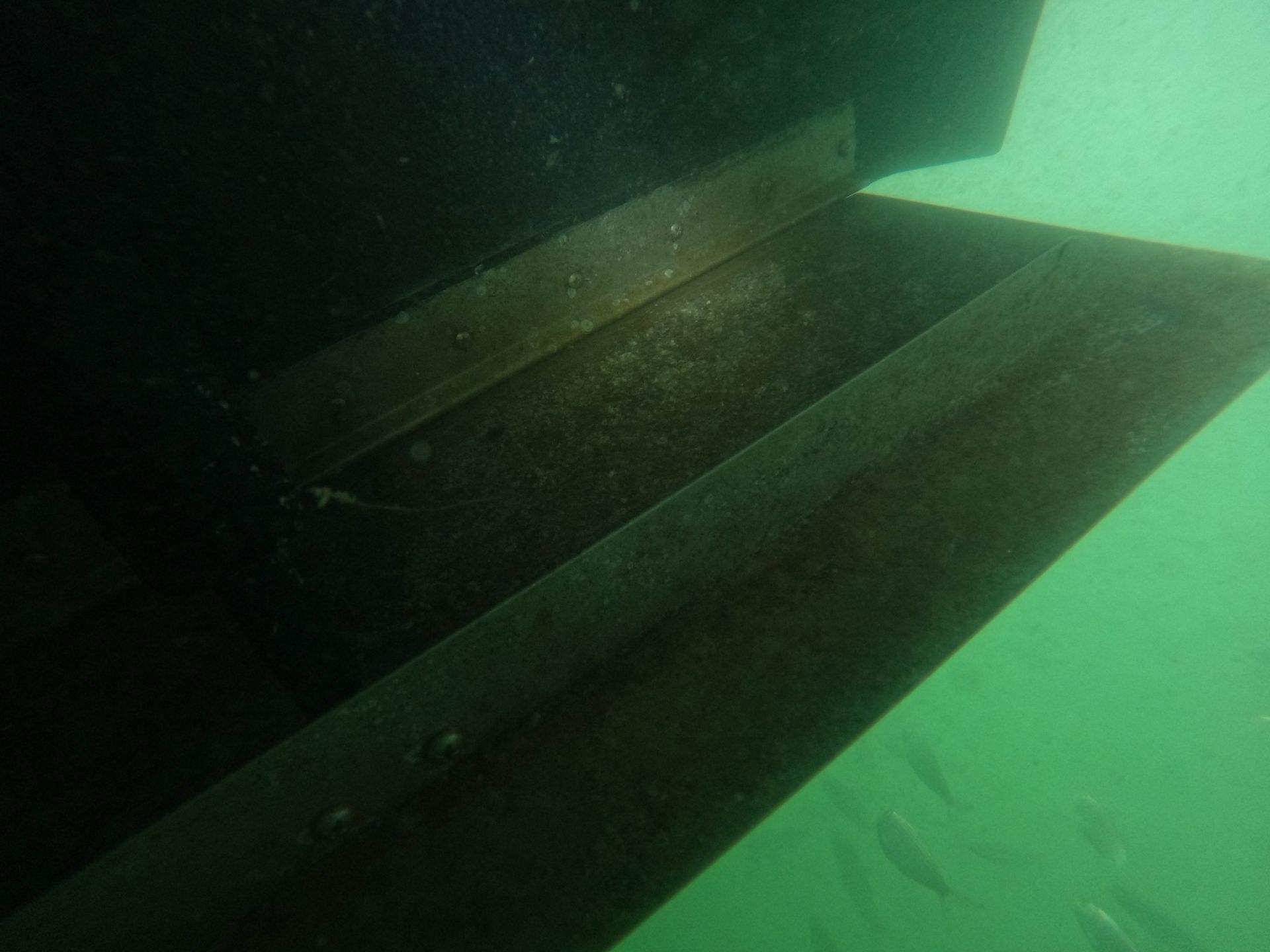 Boat Flippers Underwater — Palm Harbor, FL — Ozona Dive Service