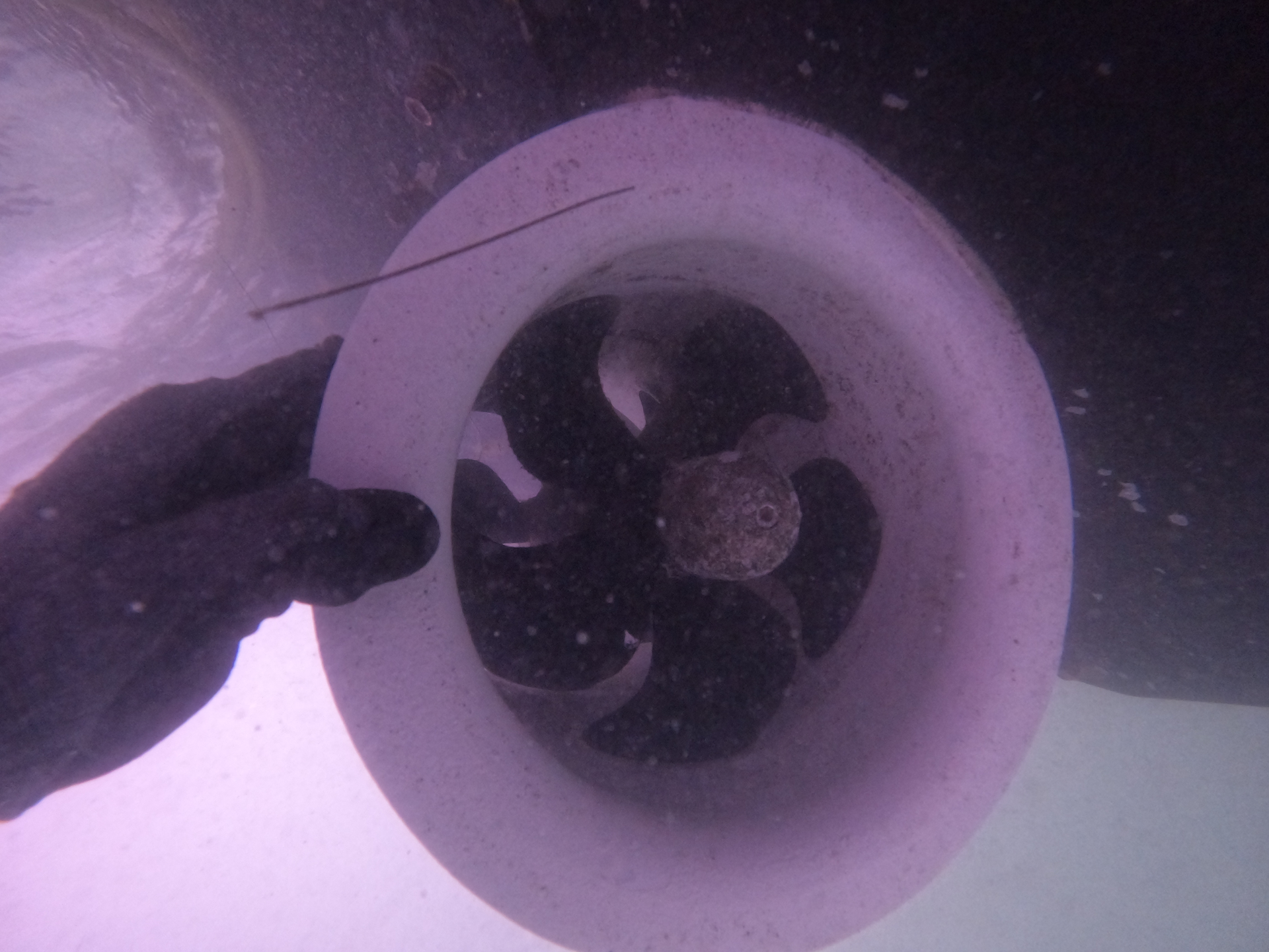 A Person is Holding a Propeller Underwater — Palm Harbor, FL — Ozona Dive Service