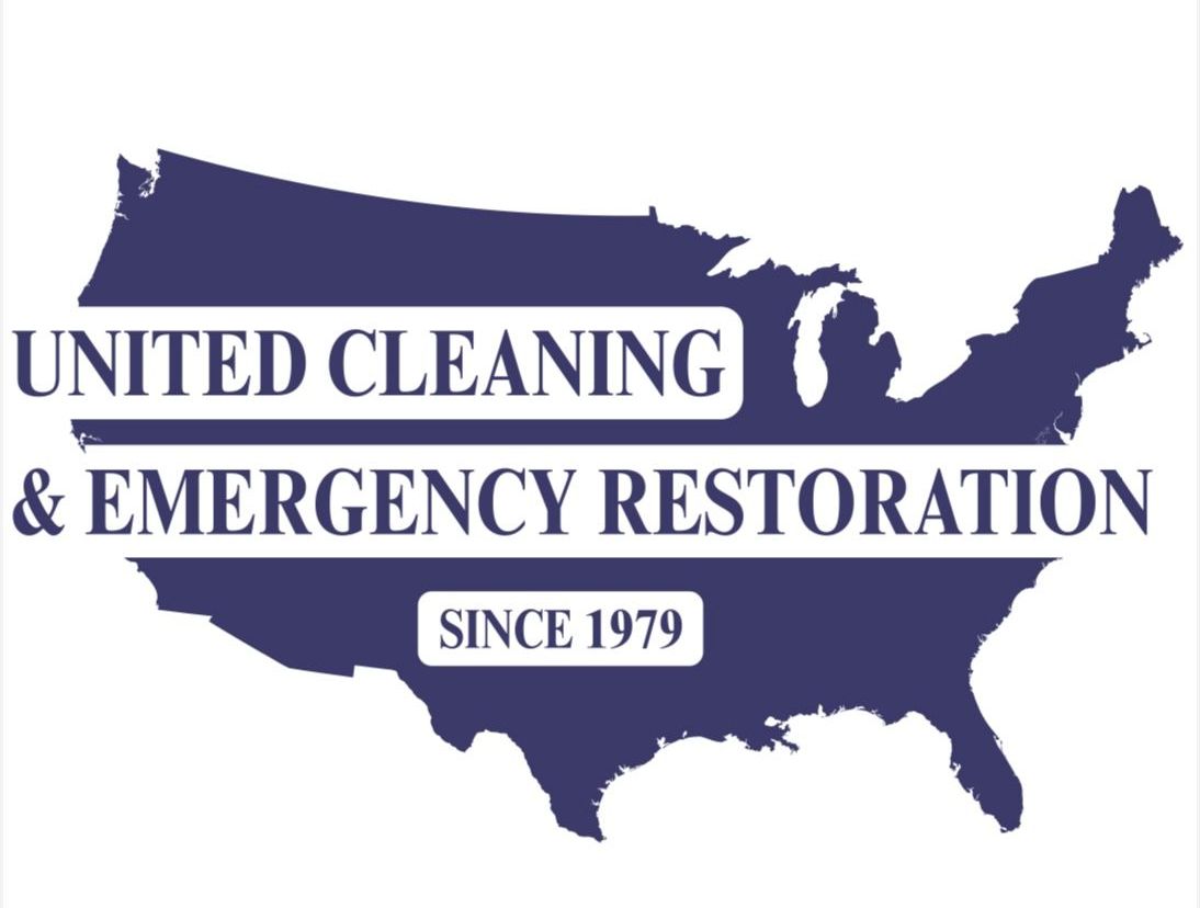 A red white and blue flag with a white star is in a field of blue flowers