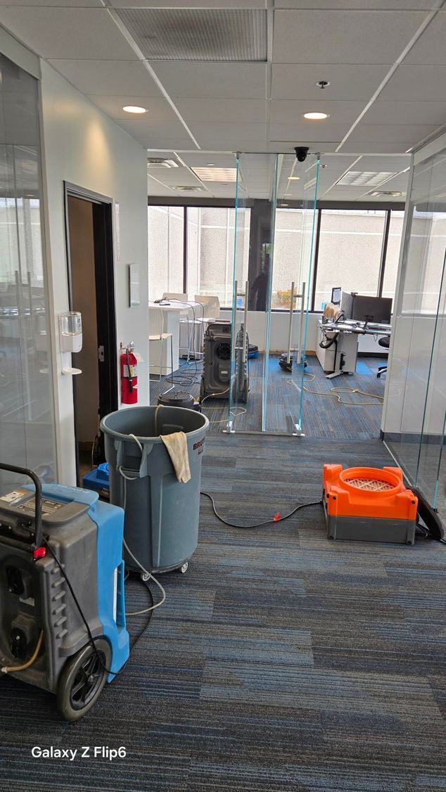 A blurry picture of a city skyline at night with trees in the foreground.