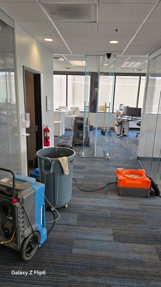 A blurry picture of a city skyline at night with trees in the foreground.