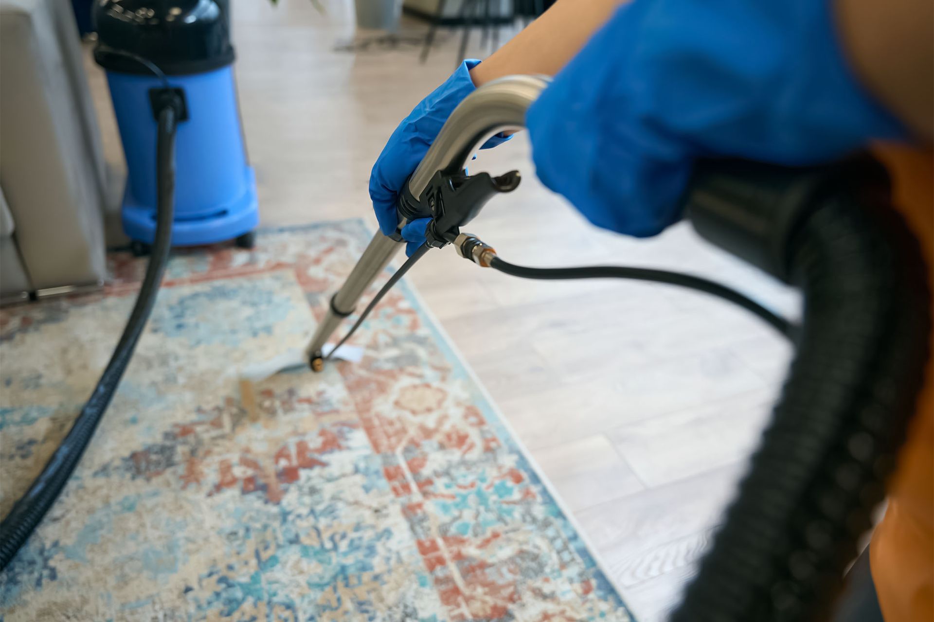 A person is cleaning a rug with a vacuum cleaner.