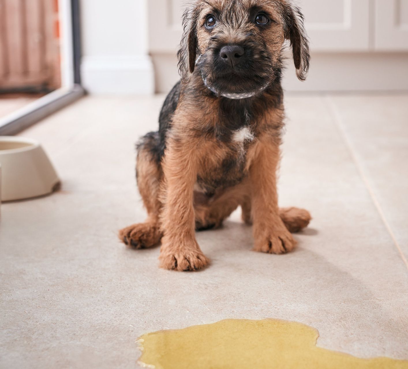A woman is cleaning a couch with a vacuum cleaner.