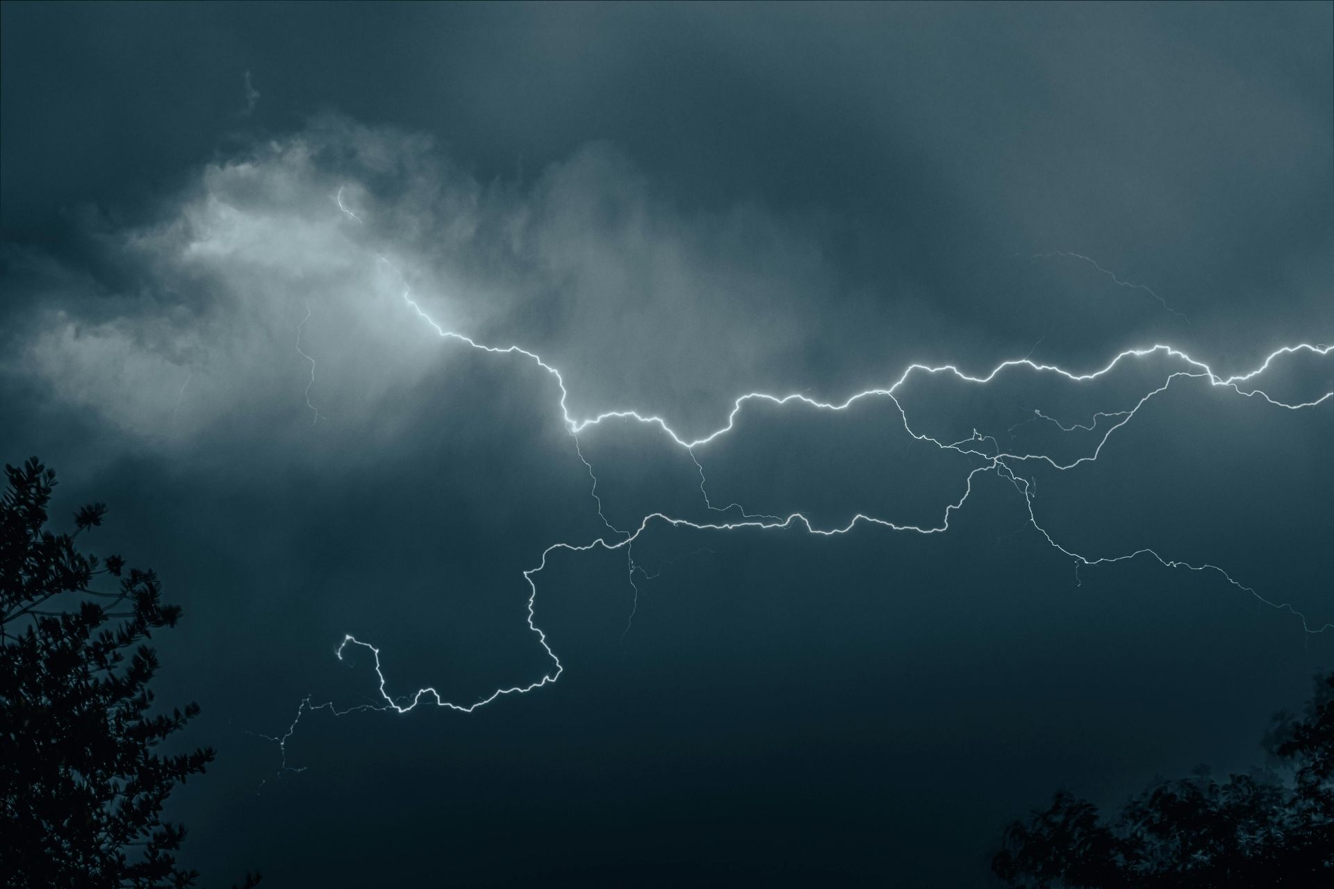 Lightning strikes in the night sky with trees in the foreground