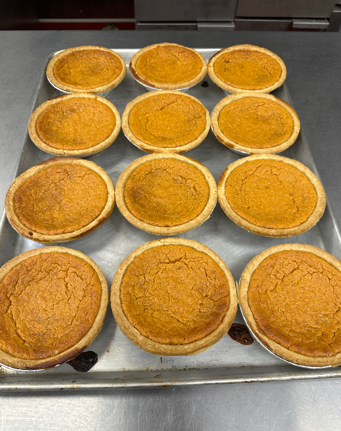 A tray of pumpkin pies are sitting on a counter.