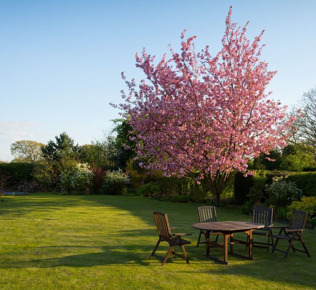 A table and chairs in a garden with a tree in the background