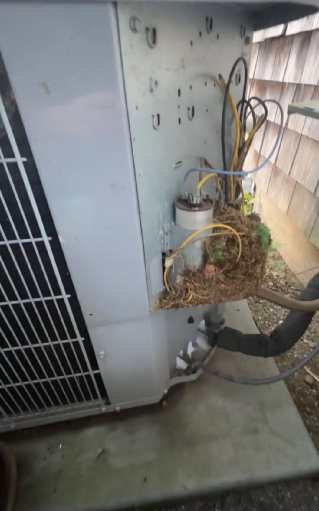 A bird's nest built inside the open electrical compartment of an outdoor air conditioning unit next to a capacitor.