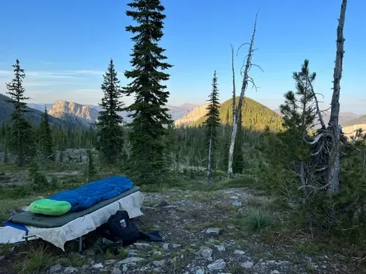 A sleeping bag is sitting on top of a bed in the middle of a forest.