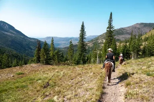 Two people are riding horses down a trail in the mountains.