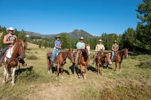 A group of people are riding horses in a field.