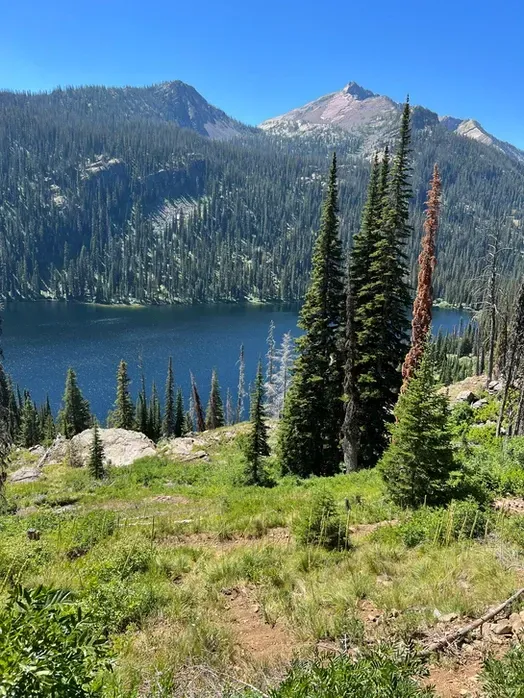 A lake surrounded by trees and grass with mountains in the background.
