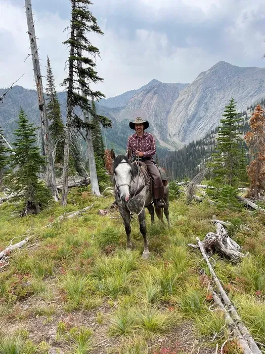 A man is riding a horse in a field with mountains in the background.