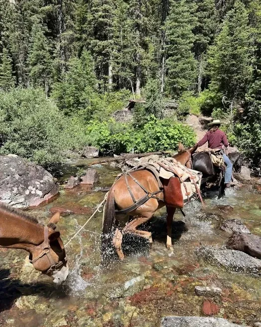 A man is riding a horse through a river.