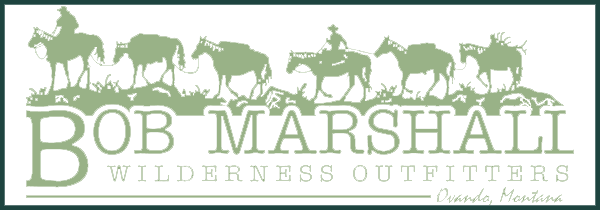 A white background with a few lines on it