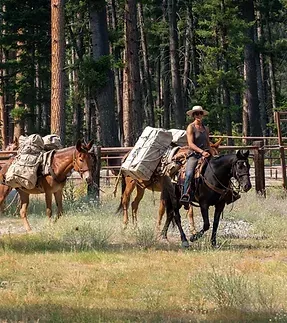 A woman is riding a horse in a field.